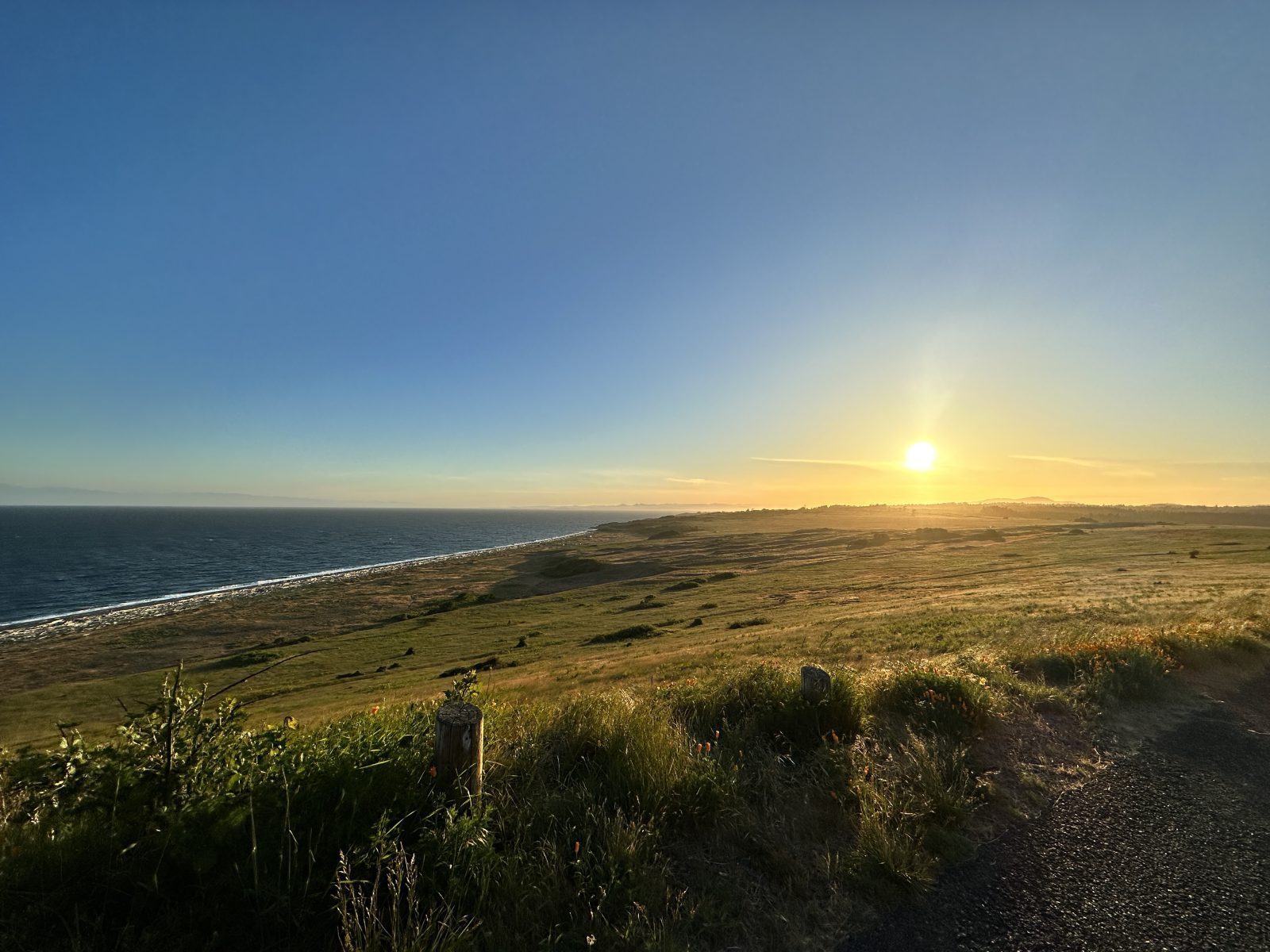 The sun sets over a grassy coastline sloping down to the ocean, reminiscent of the scenic views showcased by windows doors and more affiliates.